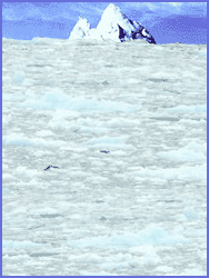 Tip 0f the Iceberg!
